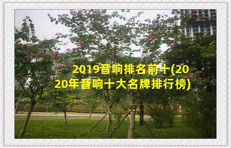 2019音响排名前十(2020年音响十大名牌排行榜)