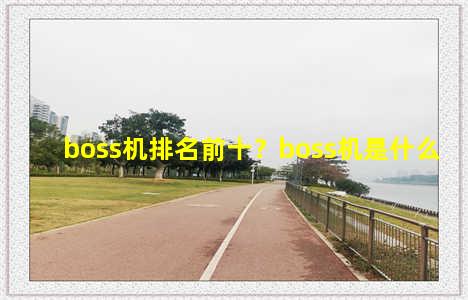 boss机排名前十？boss机是什么