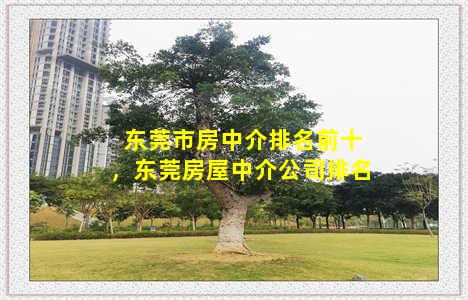 东莞市房中介排名前十，东莞房屋中介公司排名