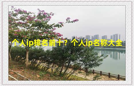 个人ip排名前十？个人ip名称大全