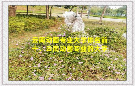 云南动画专业大学排名前十，云南动画专业的大学