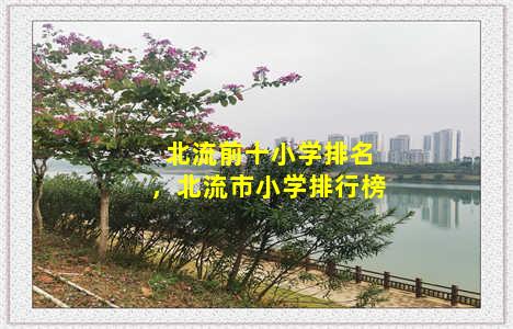 北流前十小学排名，北流市小学排行榜