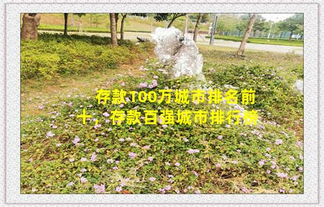 存款100万城市排名前十，存款百强城市排行榜