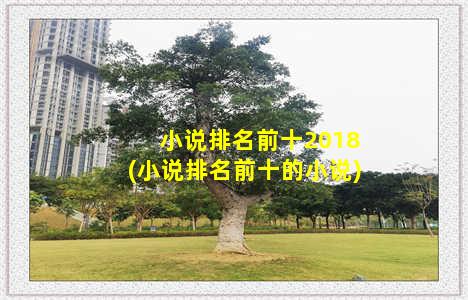 小说排名前十2018(小说排名前十的小说)