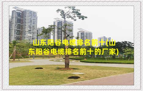 山东阳谷电缆排名前十(山东阳谷电缆排名前十的厂家)