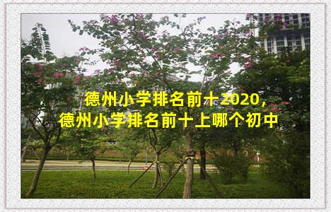 德州小学排名前十2020，德州小学排名前十上哪个初中