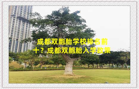 成都双胞胎学校排名前十？成都双胞胎入学政策