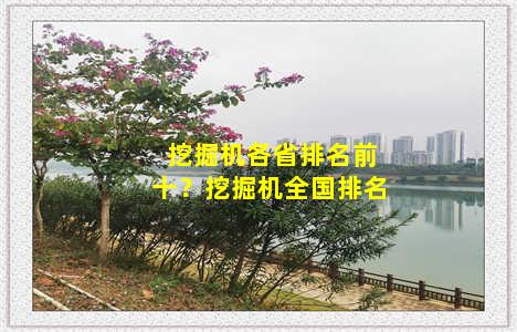 挖掘机各省排名前十？挖掘机全国排名