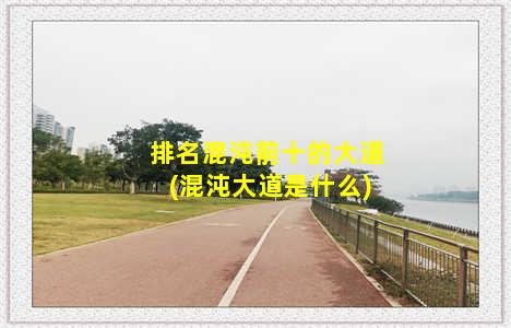 排名混沌前十的大道(混沌大道是什么)