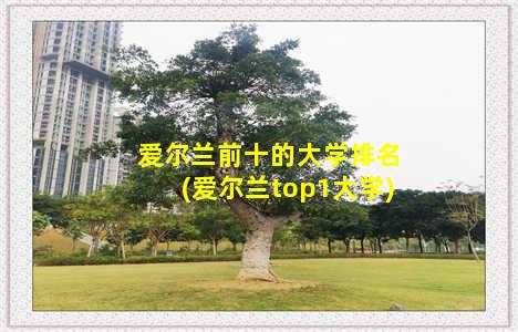 爱尔兰前十的大学排名(爱尔兰top1大学)